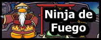 Ninja Fire