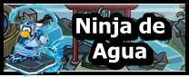 Ninja Water